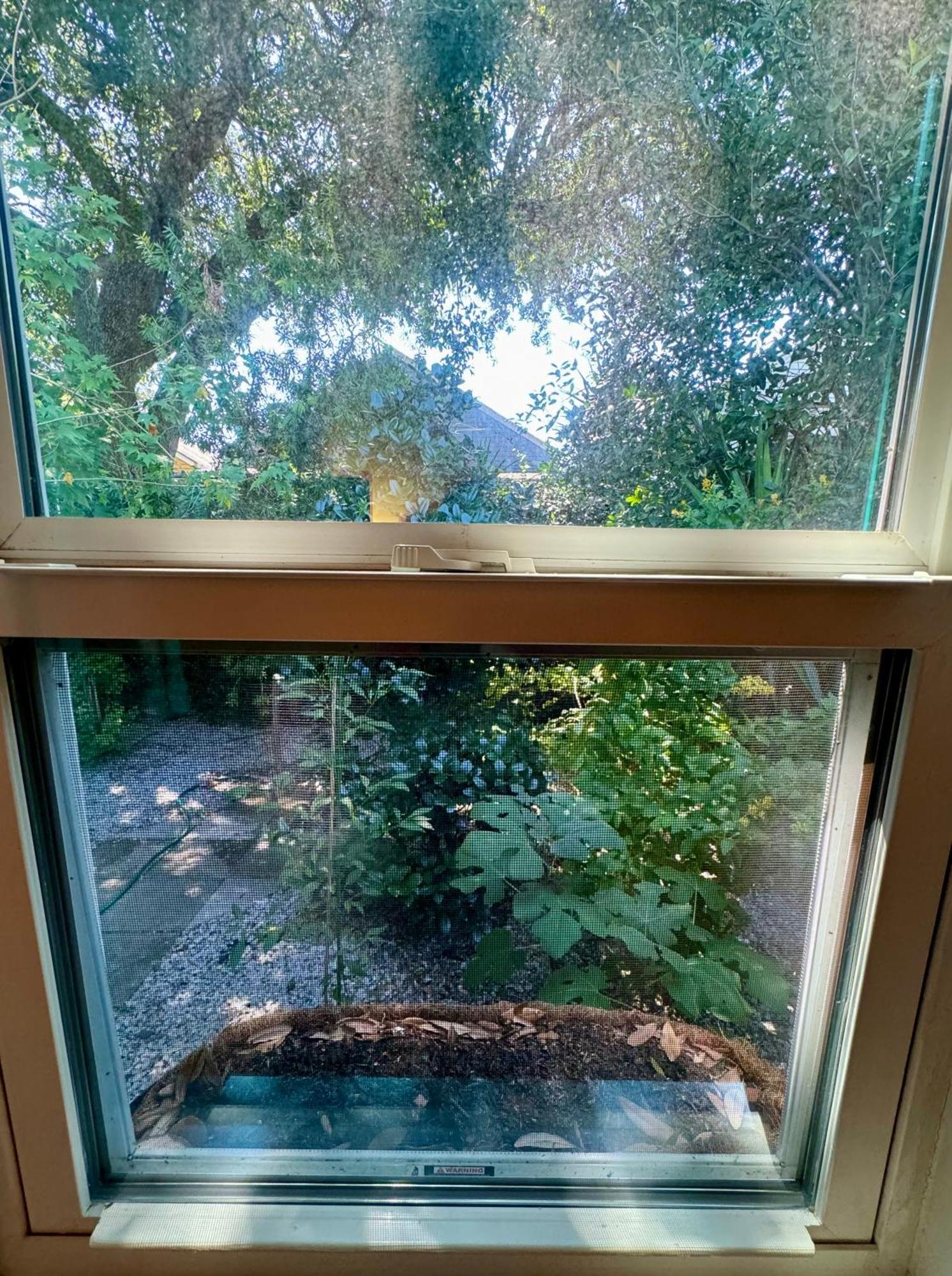 One Bedroom Apartment With Hot Tub 2 Blocks To Magazine Street New Orleans  Kültér fotó